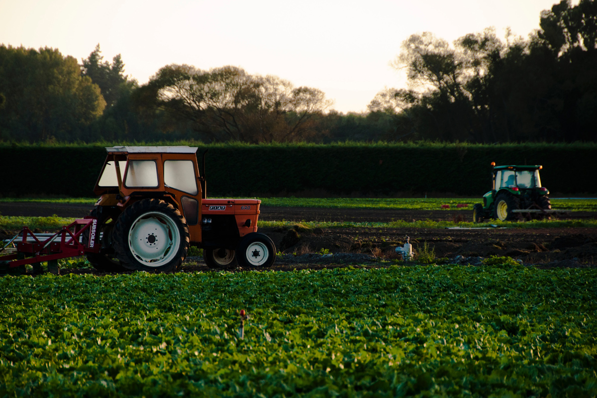 L'agroforesterie, vous connaissez?