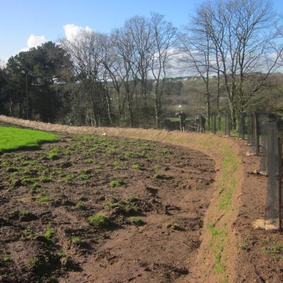 Plantations