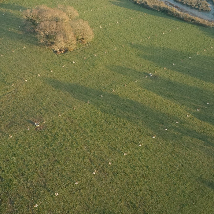 Génie écologique